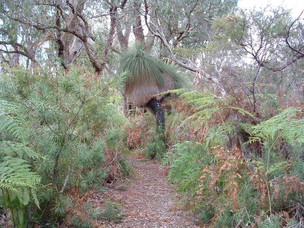 Yelverton Brook Conservation Sanctuary Metricup Extérieur photo